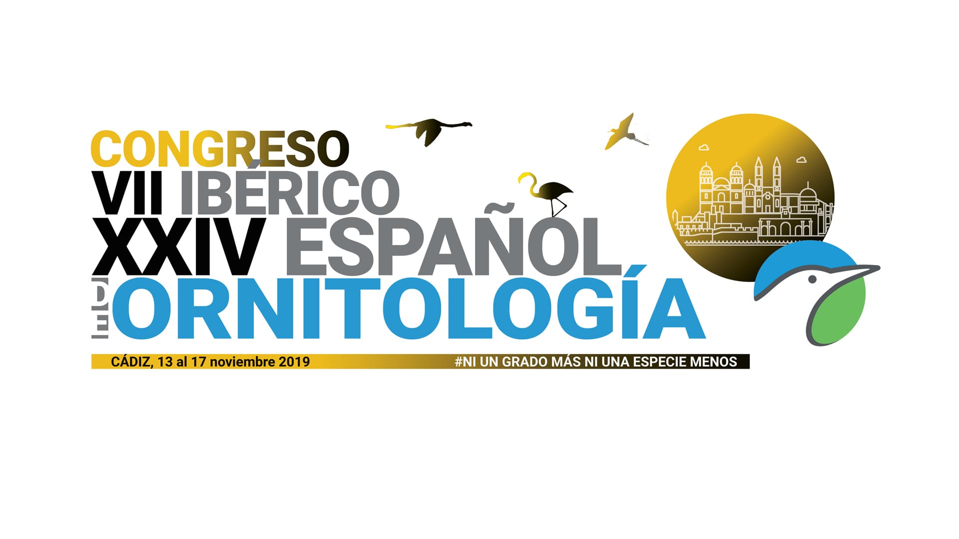 Logotipo de XXIV Spanish Conference and VII Iberian Conference of Ornithology
