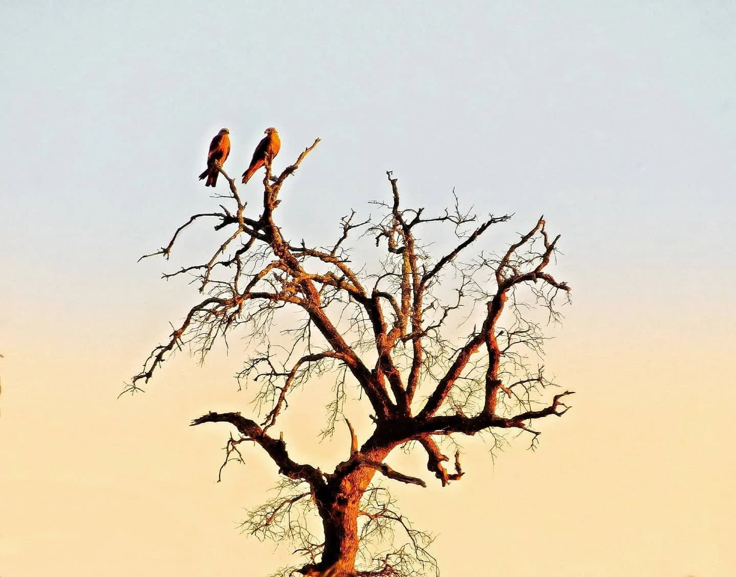Nature photograph from DapapuPhotos
