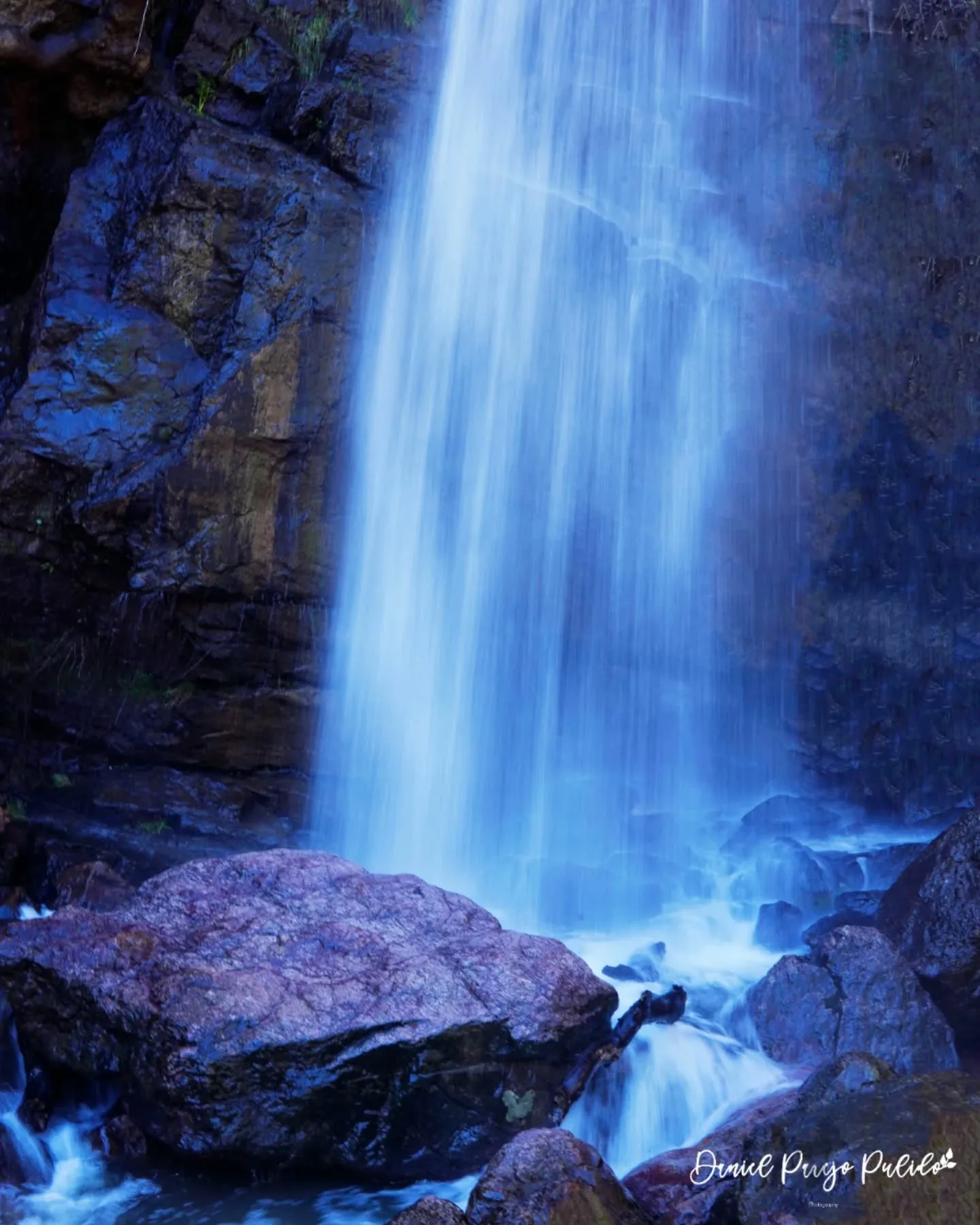 Nature photograph from DapapuPhotos